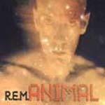 rem-animal-matthew_cullen
